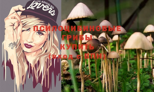 марки lsd Козельск