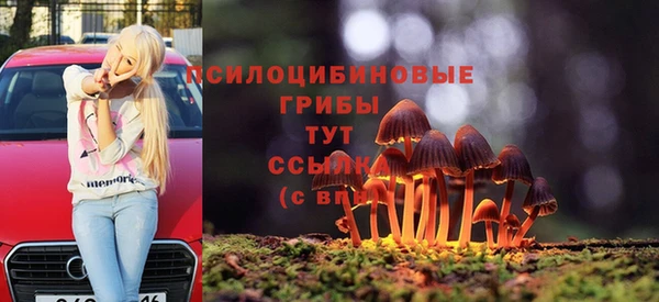 марки lsd Козельск