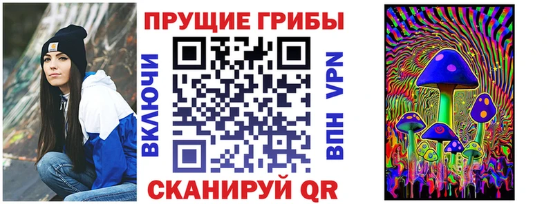 Псилоцибиновые грибы MAGIC MUSHROOMS Купить Малгобек
